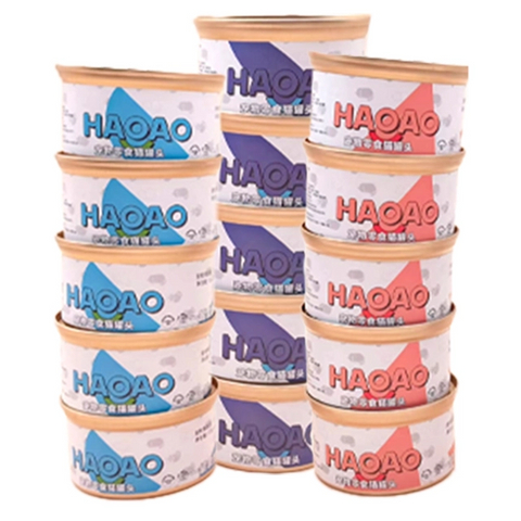 HAOAO UPGRADE THE SUCCULENT JAR 