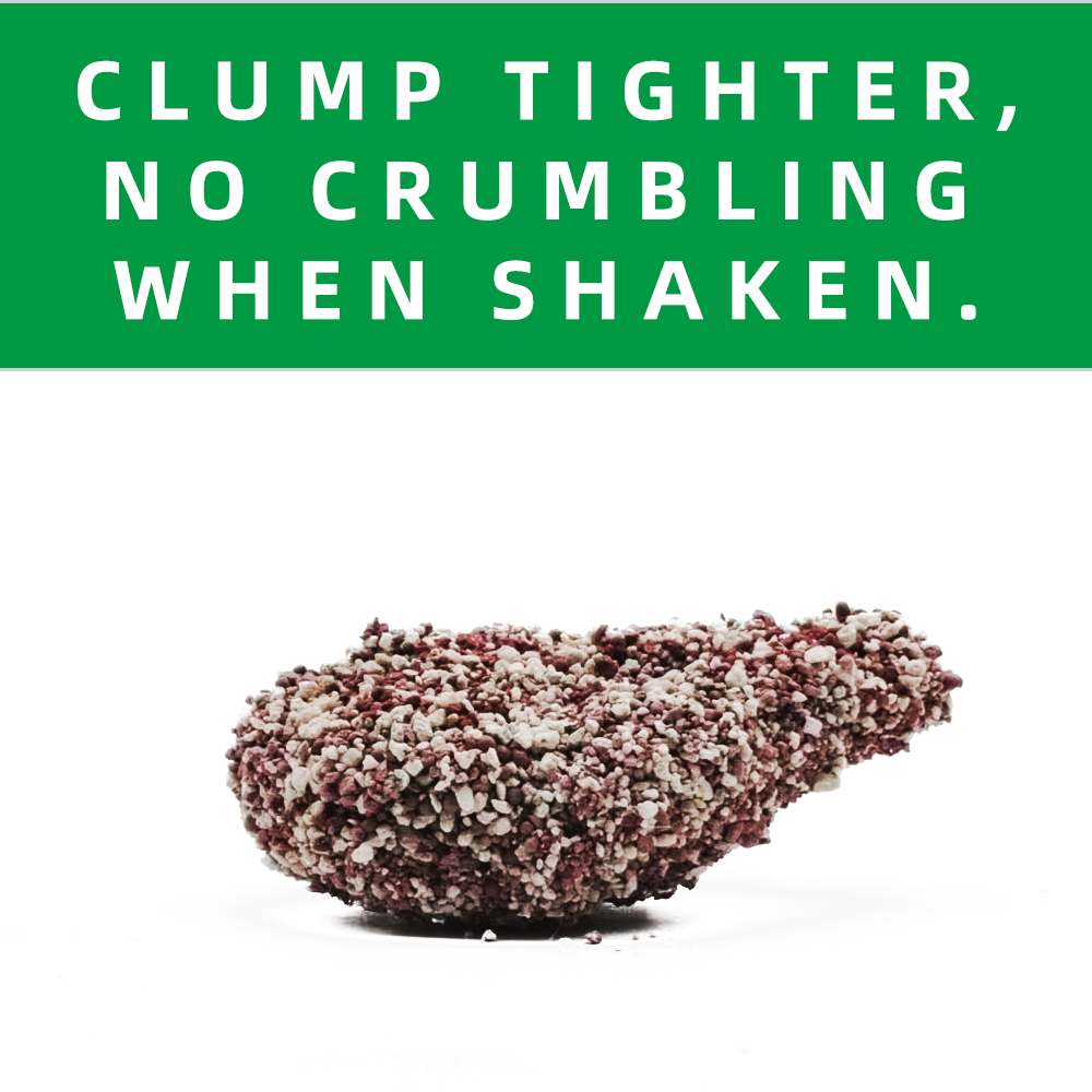 WOODY PLANTS ZIXIA SUISUISHA