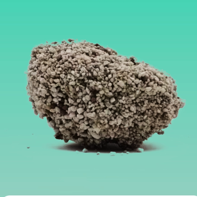 WOODY PLANTS XIANGXUE SUISUISHA