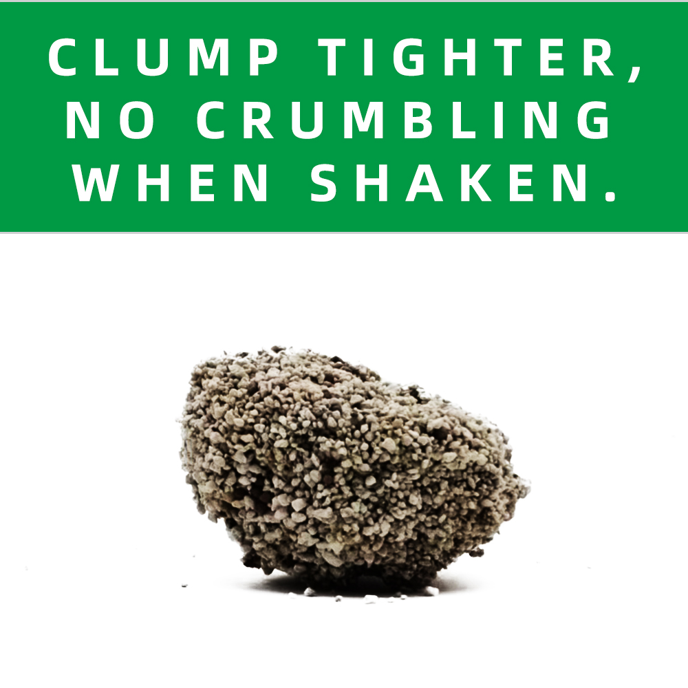 WOODY PLANTS XIANGXUE SUISUISHA