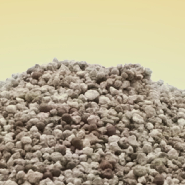 WOODY PLANTS XUEYAN WUCHEN SUISUISHA