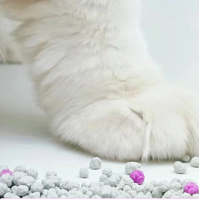 ZOLLINGERI CAT LITTER1-3.5mm