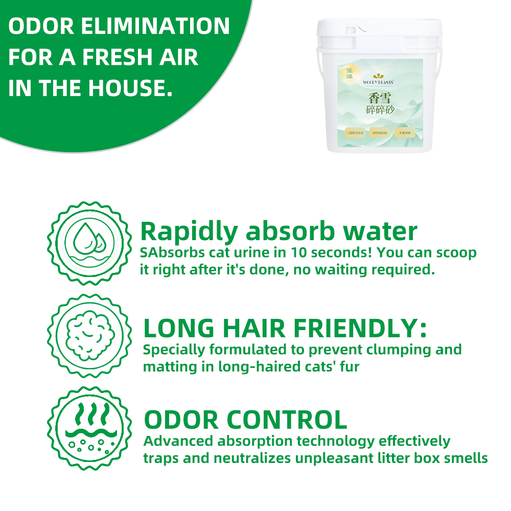 WOODY PLANTS XIANGXUE SUISUISHA