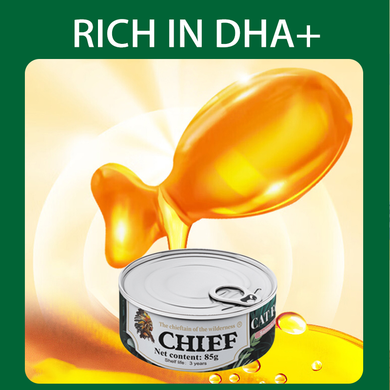 HAOAO UPGRADE THE SUCCULENT JAR 