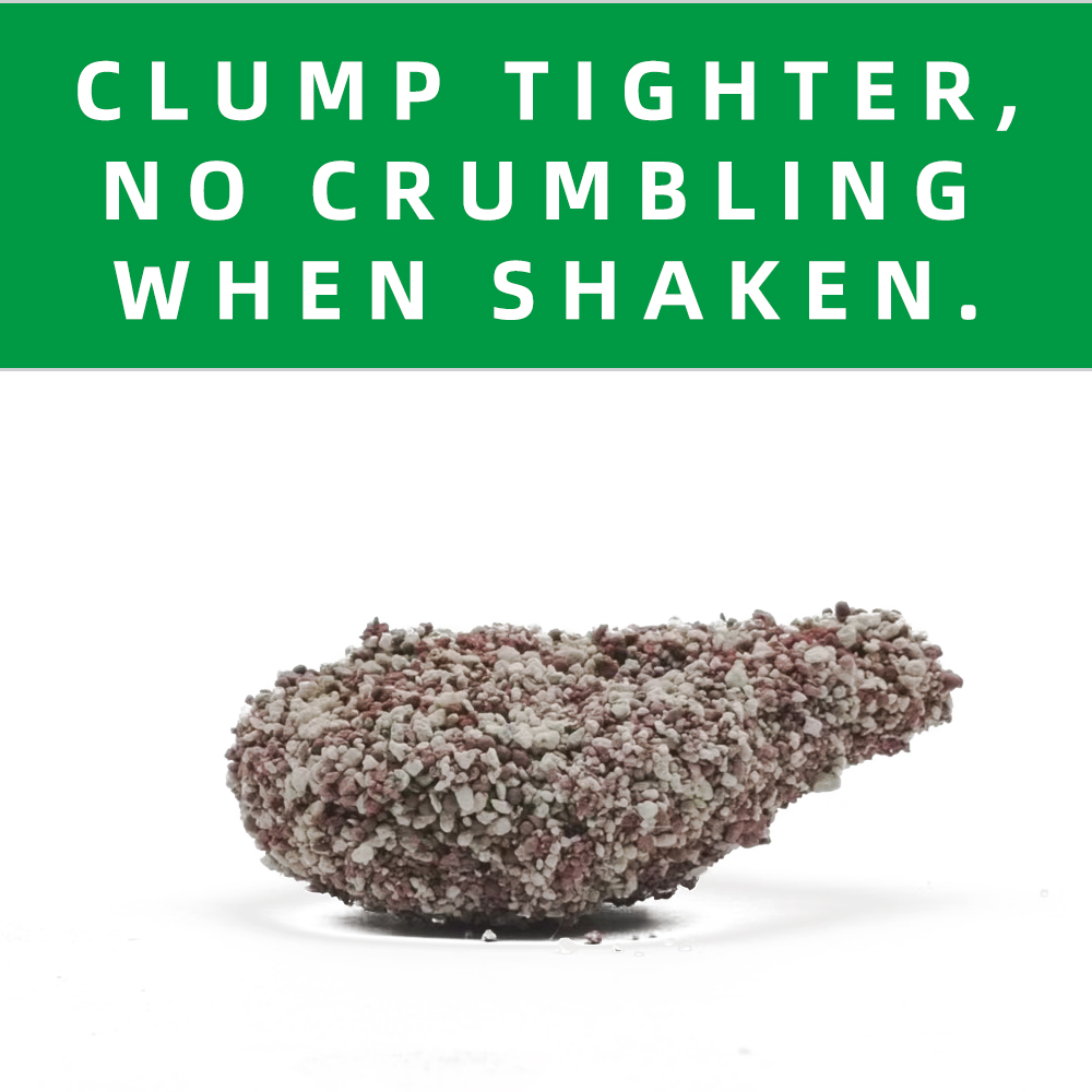 WOODY PLANTS CHIYAN CRUMBLED LITTER