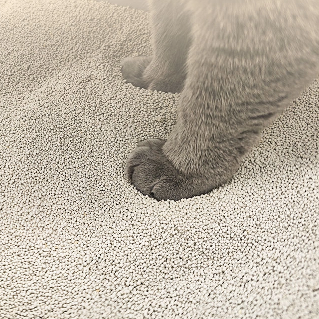 WOODY PLANTS XIAOMI CAT LITTER