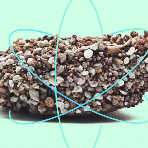 WOODY PLANTS BAMBOO - BASED MIXED SAND