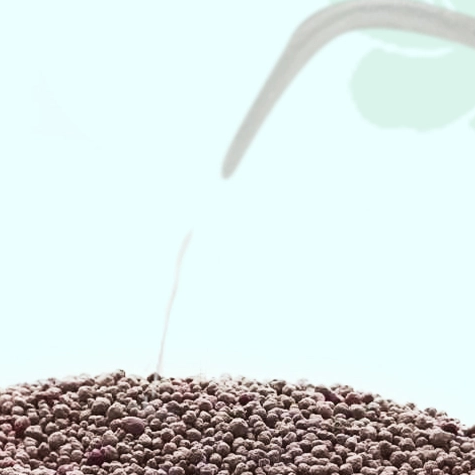 KATZE KING JASMINE SCENTED CAT LITTER 1-3.5mm