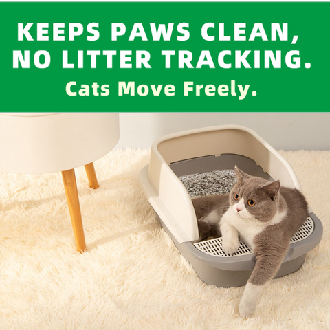 WOODY PLANTS XUEYAN WUCHEN SUISUISHA