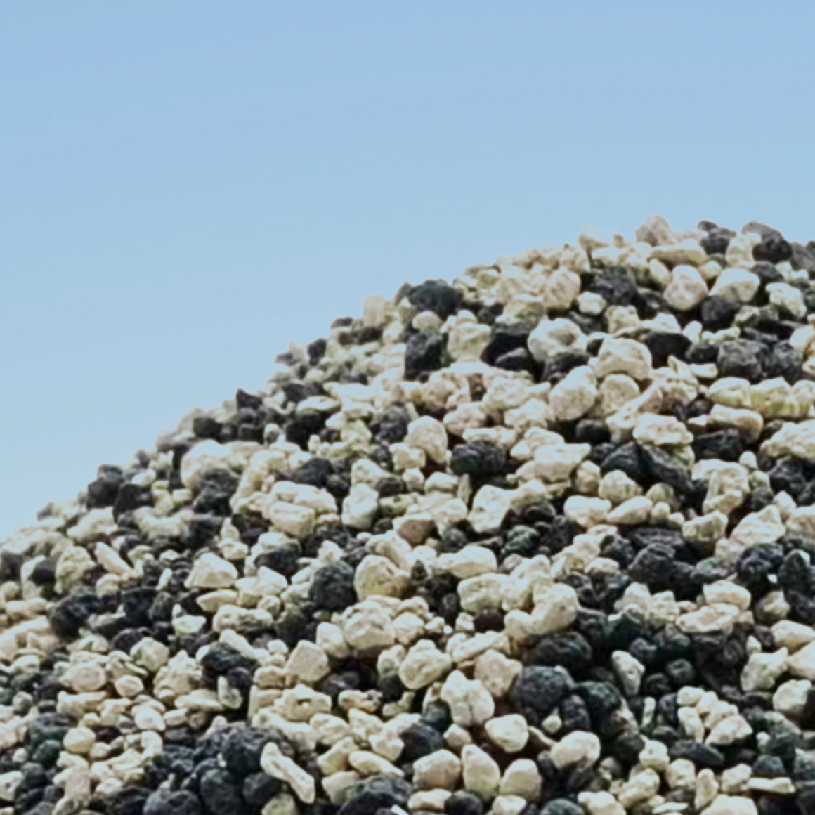 WOODY PLANTS MOXUE WUCHEN SUISUISHA