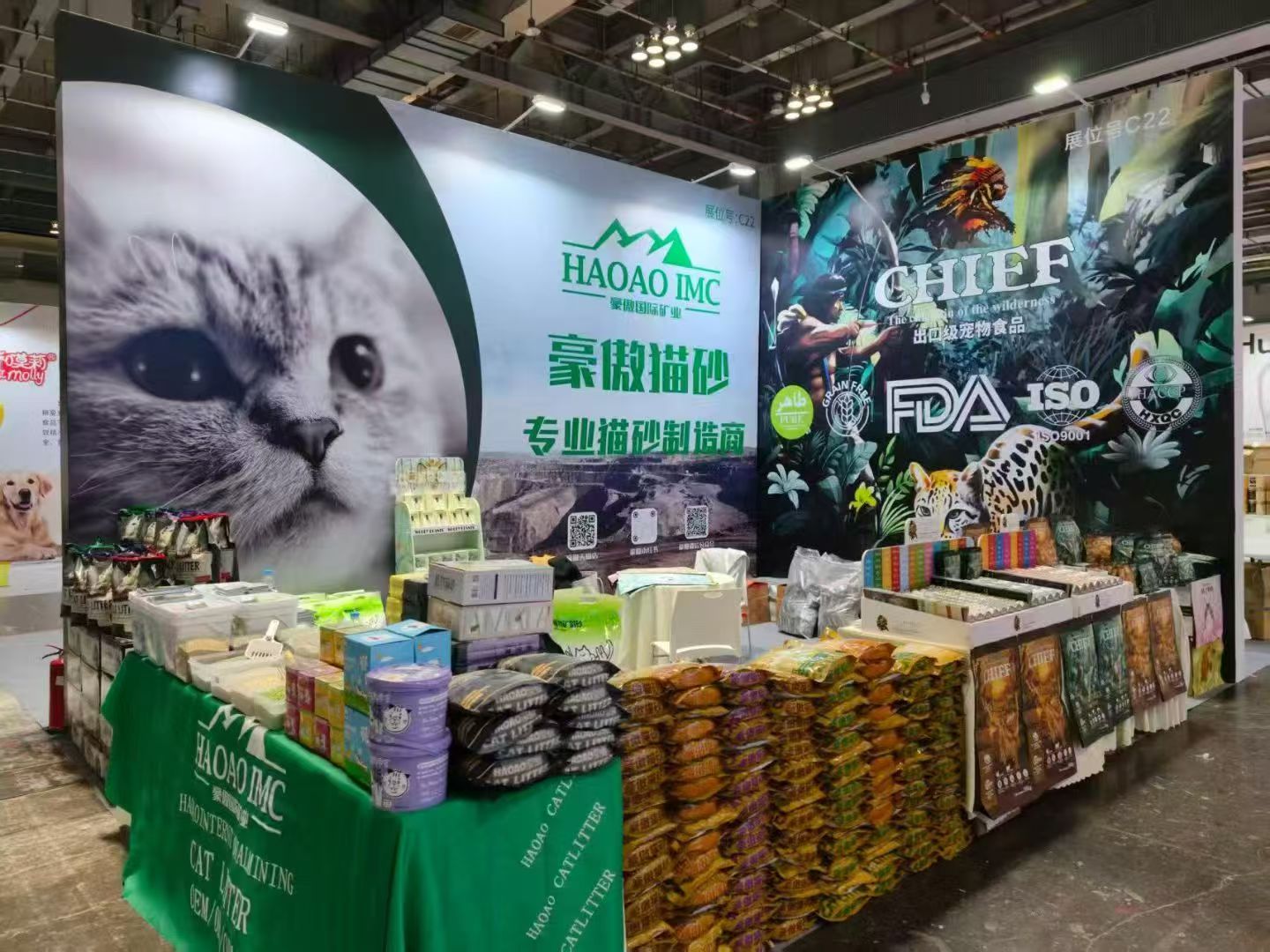 Bridging Continents & Innovating Anew: Haao’s 2026 Roadmap for Global Cat Litter Trade & Product Evolution
